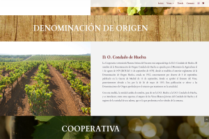 Bodegas del Socorro celebra su 60 aniversario con una nueva página web para facilitar el acceso a su catálogo de vinos del Condado
