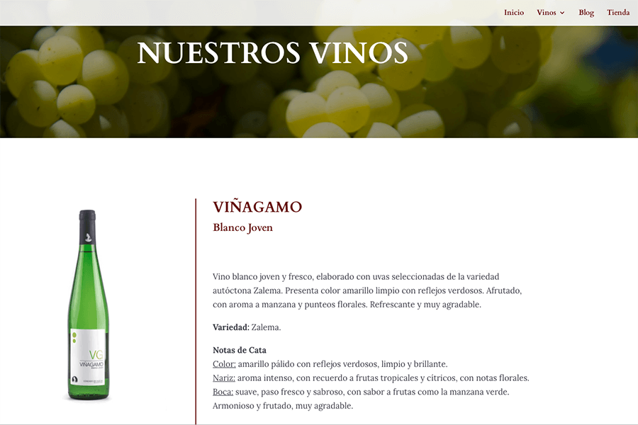 Viñagamo se alza con la medalla de plata de los premios Gran Cinve 2017 en la modalidad de vinos tranquilos