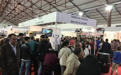 Las ventas de Viñagamo Etiqueta Negra se disparan un 25% en la XI Feria Comarca de Doñana y III Feria Enoberry