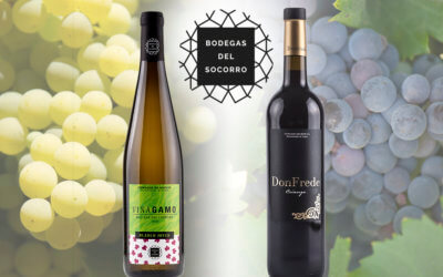 Bodegas del Socorro concursa en el prestigioso International Awards Virtus de Lisboa con Viñagamo Blanco Joven y Don Frede Crianza