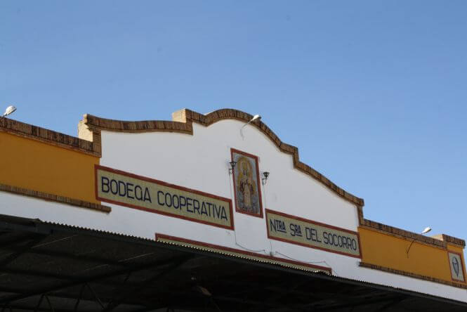 Bodegas del Socorro lamenta la pérdida de su socio Fredesvindo Ligero, pionero en la plantación de uva tinta en el Condado