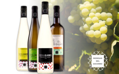 Bodegas del Socorro renueva la imagen de su gama de vinos blancos y mostos para promocionar su consumo entre todos los públicos