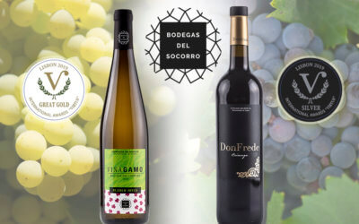 Viñagamo Blanco Joven 2018 obtiene la medalla Great Golden, máxima distinción del prestigioso concurso International Awards Virtus de Lisboa