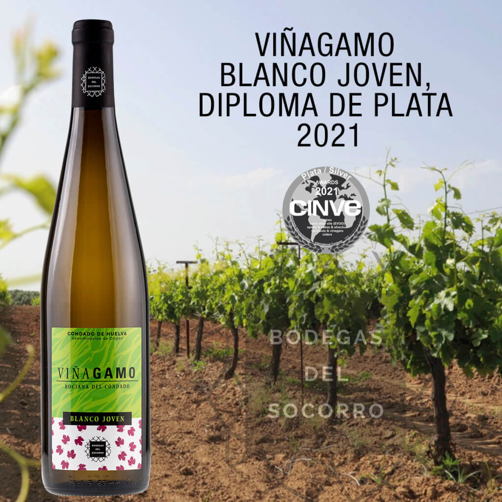 Viñagamo Blanco Joven 2020 se alza con la distinción Diploma de Plata en la categoría Vinos Tranquilos de los prestigiosos premios CINVE